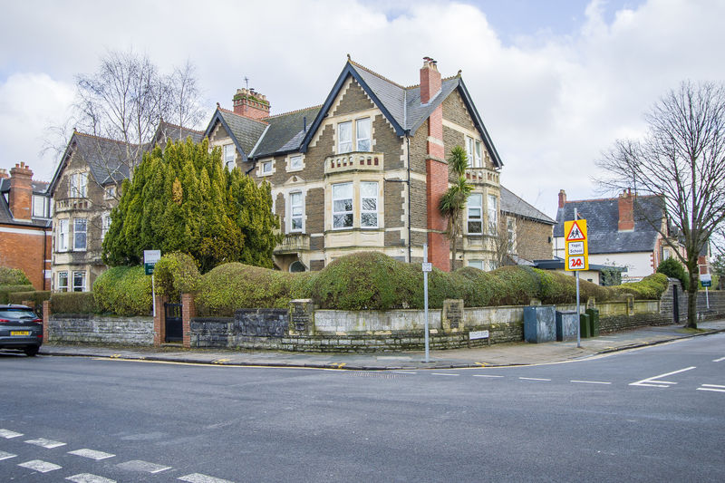 Main Image